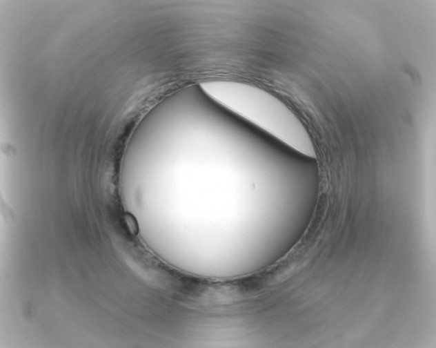 X0000091190599200708091023