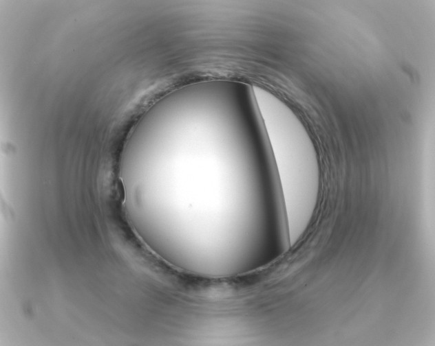 X0000091190600200708091023