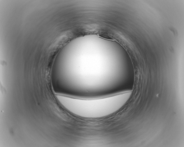 X0000091190601200708091023