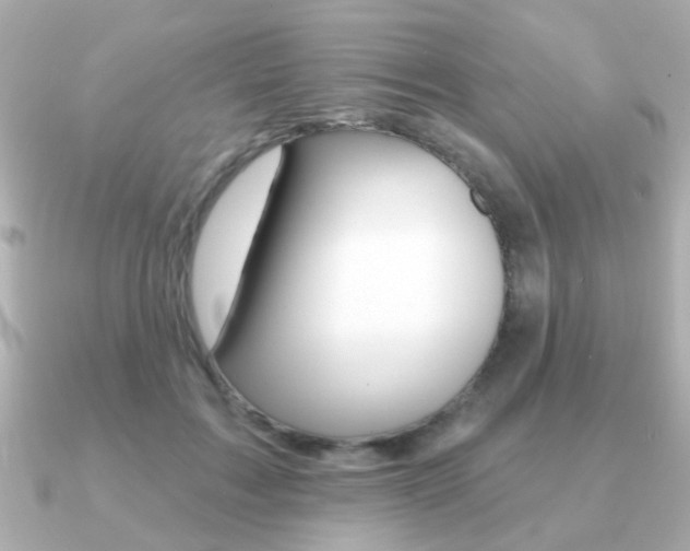 X0000091190603200708091023