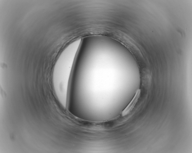 X0000091190604200708091023