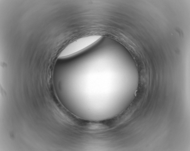 X0000091190605200708091023