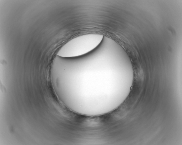 X0000091190606200708091023