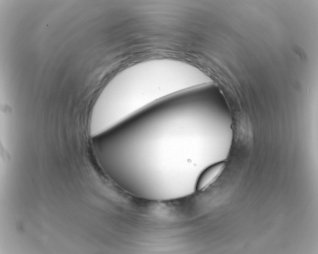 X0000091190616200708091023