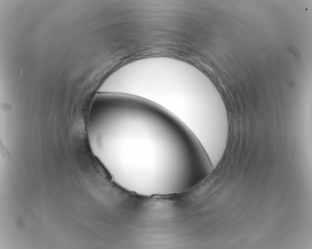 X0000091190617200708091023