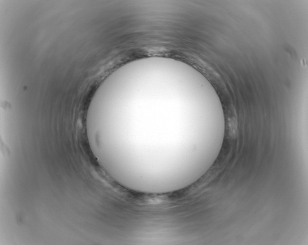 X0000091190618200708091023