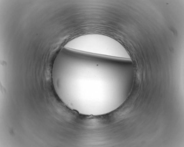 X0000091190620200708091023