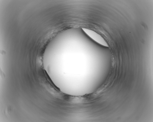 X0000091190621200708091023