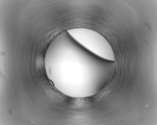 X0000091190623200708091023