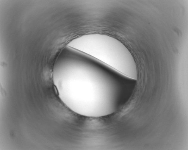 X0000091190624200708091023