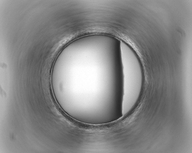 X0000091190625200708091023