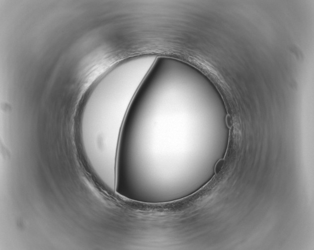 X0000091190626200708091023
