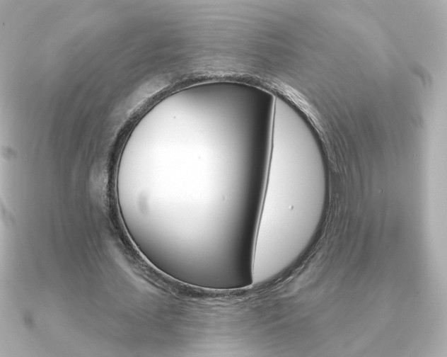 X0000091190627200708091023