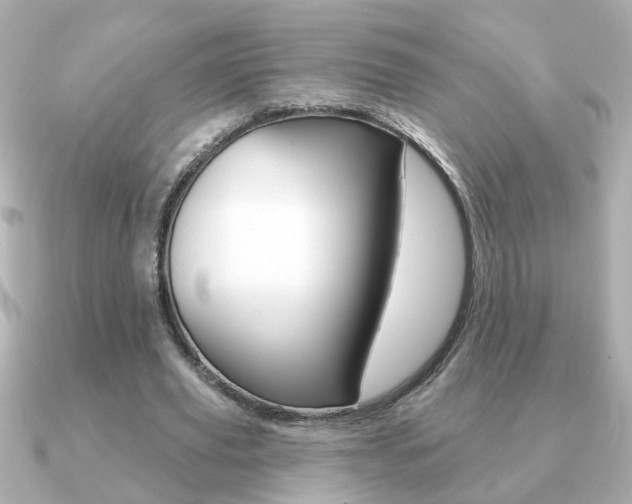 X0000091190629200708091023