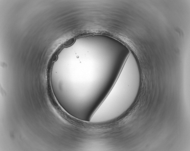 X0000091190630200708091023
