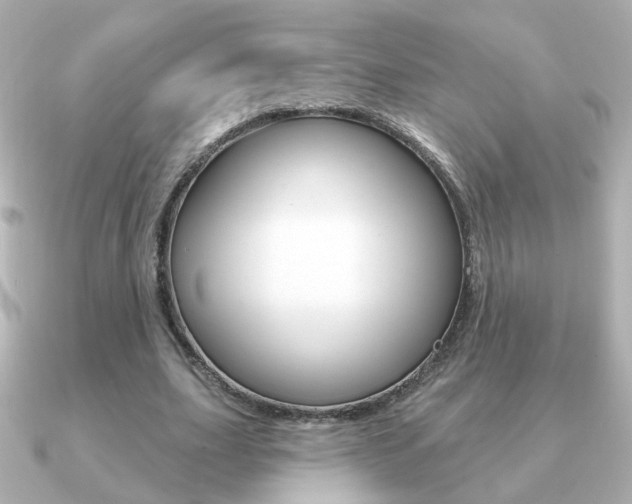 X0000091190631200708091023