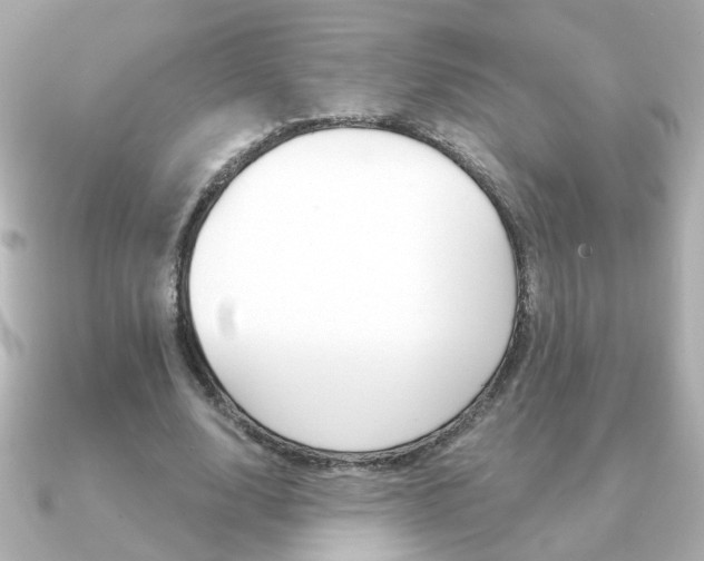 X0000091190632200708091023