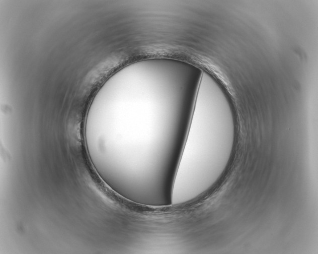 X0000091190633200708091023