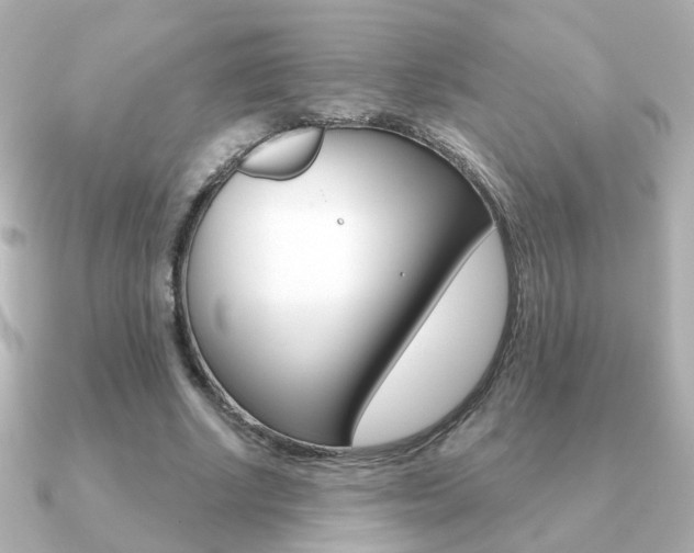 X0000091190634200708091023