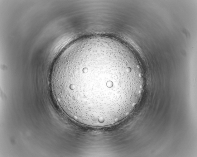 X0000091190635200708091023