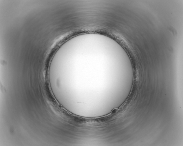 X0000091190636200708091023
