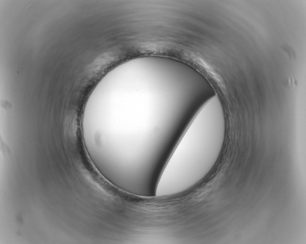 X0000091190637200708091023
