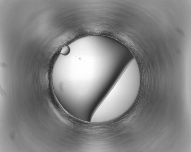 X0000091190638200708091023