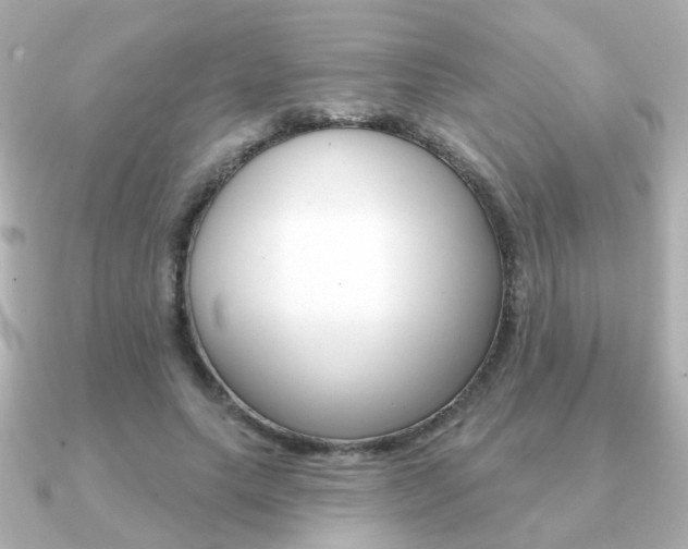 X0000091190639200708091023
