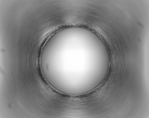 X0000091190640200708091023