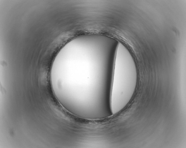 X0000091190641200708091023