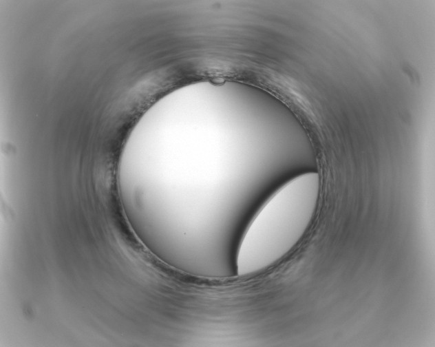 X0000091190645200708091023