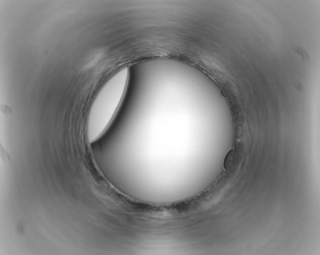 X0000091190646200708091023