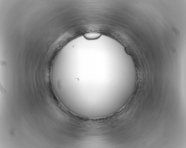 X0000091190648200708091023