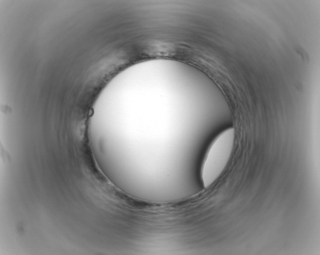 X0000091190652200708091023