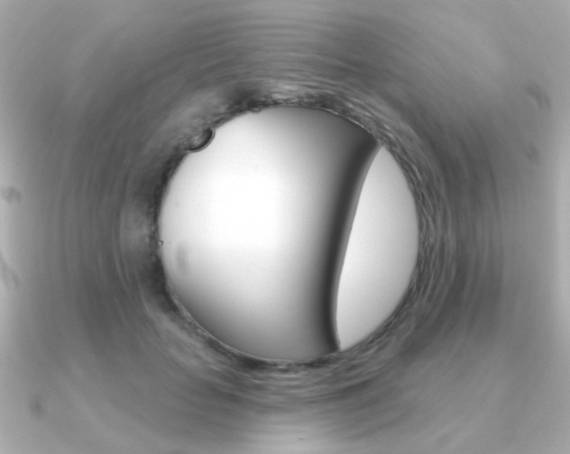 X0000091190653200708091023