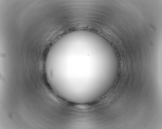 X0000091190654200708091023