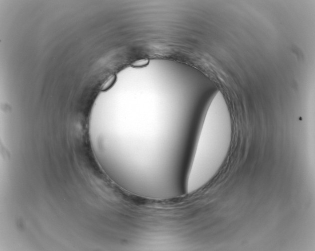 X0000091190655200708091023