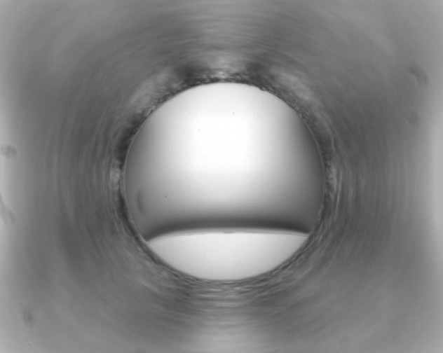 X0000091190657200708091023