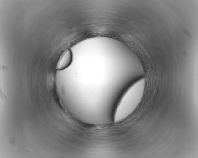 X0000091190660200708091023