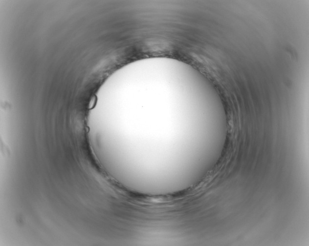 X0000091190662200708091023