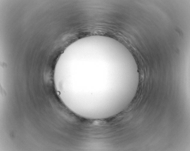 X0000091190663200708091023