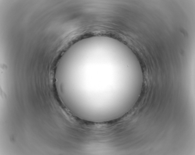 X0000091190664200708091023