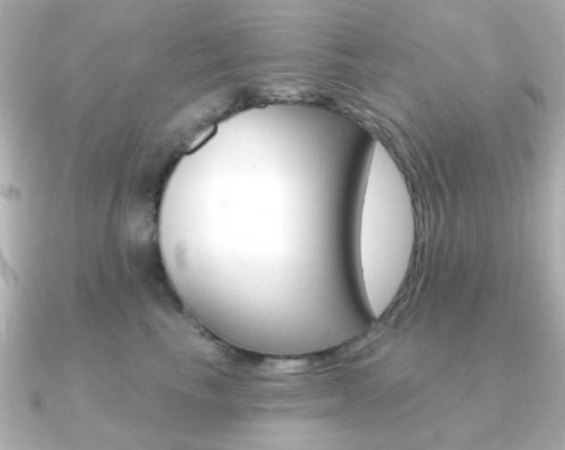 X0000091190665200708091023