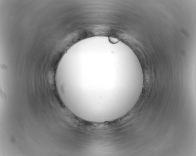 X0000091190667200708091023