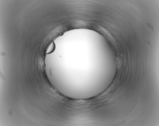 X0000091190669200708091023