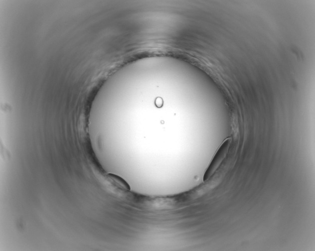 X0000091190670200708091023