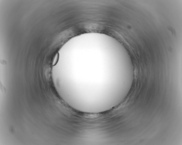 X0000091190671200708091023