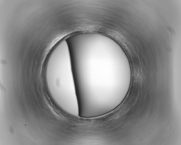 X0000091190674200708091023