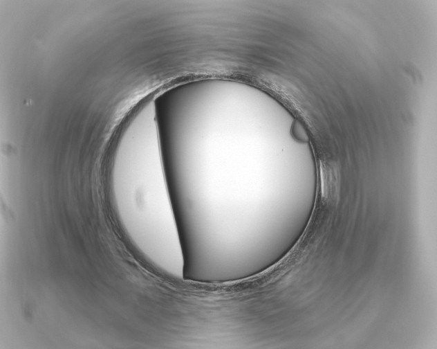 X0000091190675200708091023