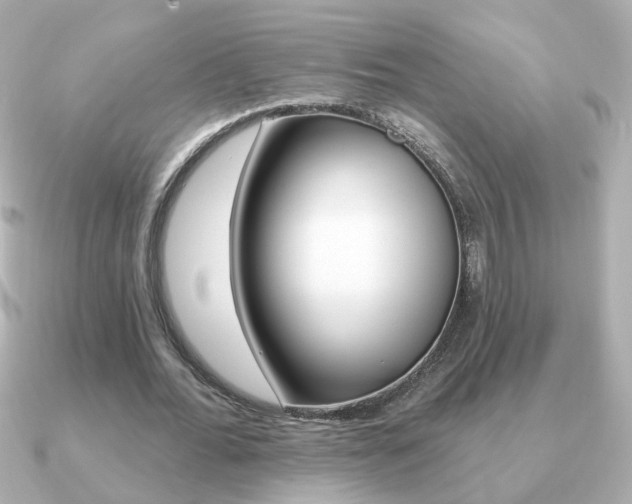 X0000091190676200708091023